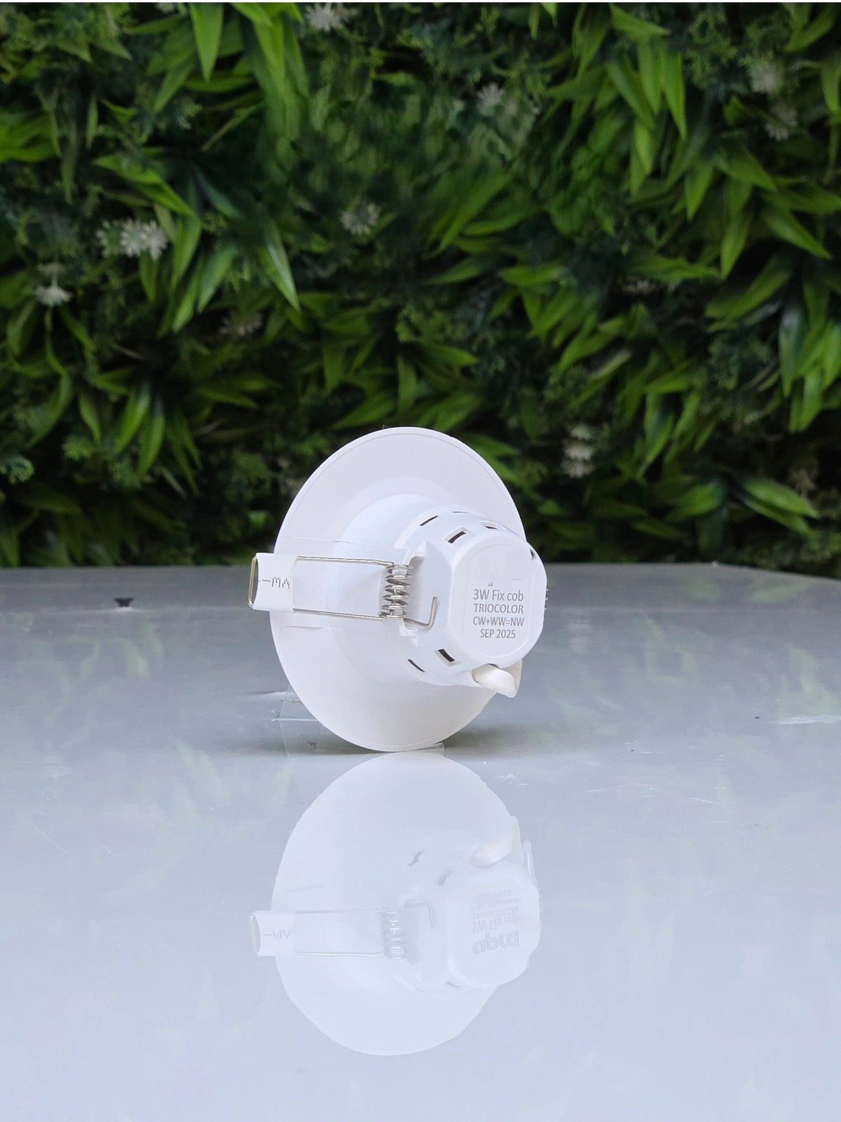 AP306 3W junction box LED light 3CCT switch color changing ceiling light for home and corridor lighting