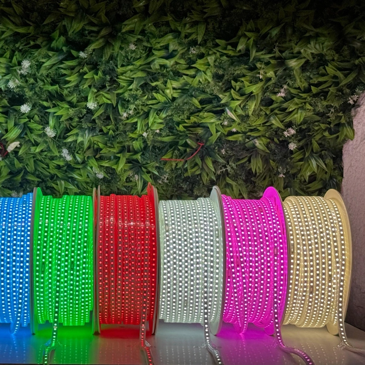 220V SMD 2835 LED rope light 120 LED per meter waterproof outdoor decorative lighting 50 meter roll